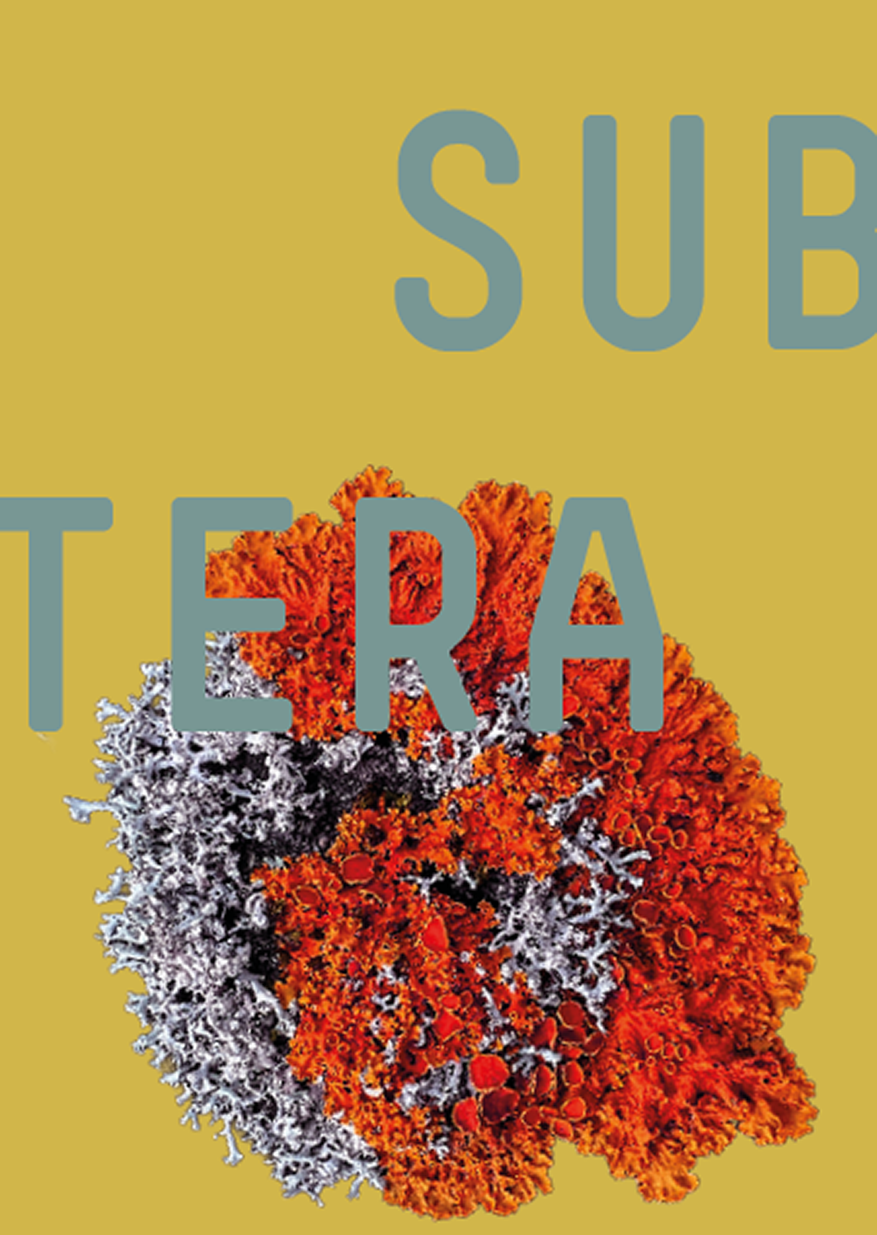 SUBTERA_DECKBLATTgr