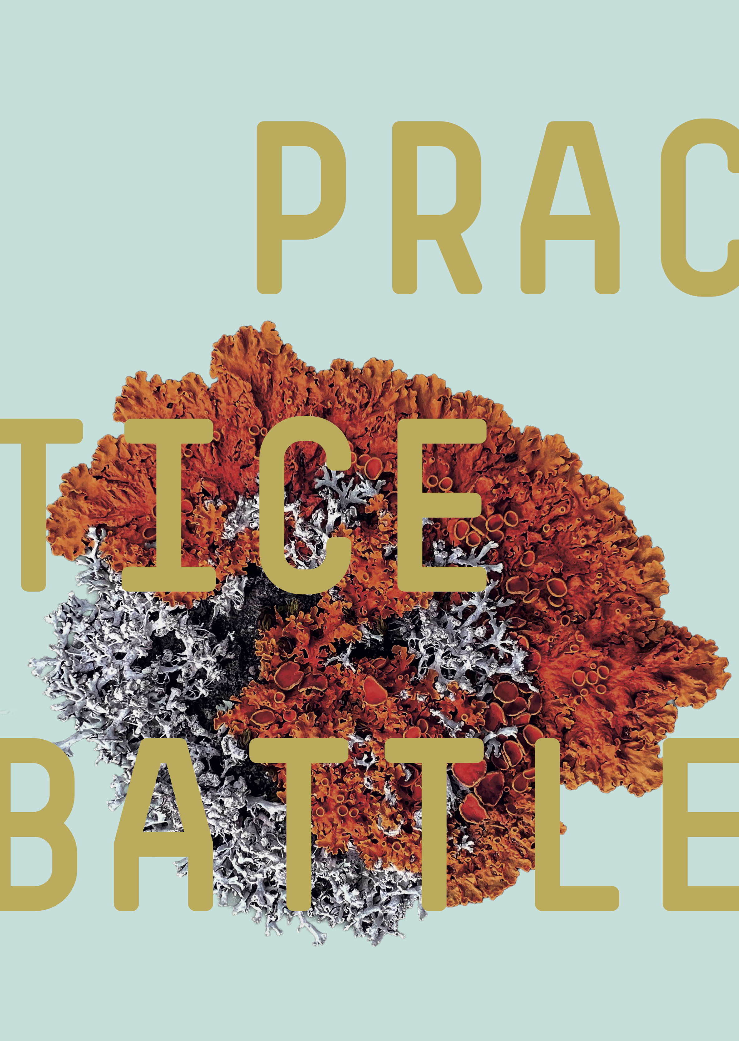 PRACTICE_BATTLE_DECKBLATT_final
